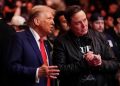 Elon Musk supports Trump’s idea of ​​acquiring Greenland