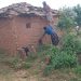 Nyamagabe: Abagore batatu basenye inzu y’umwisengeneza wabo batawe muri yombi