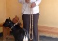 Nyamasheke: Umukobwa w’imyaka 21 yibye ihene afatirwa mu isoko agiye kuyigurisha