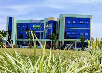 Ruhango: Ibisambo bibiri byagiye kwiba ihene kimwe kihasiga ubuzima