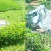 Nyamasheke: Ikamyo yakoze impanuka icuranguka mu kabande