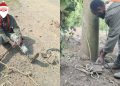 Nyabihu: Umugabo w’imyaka 36 afunzwe akekwaho kwiyita umukozi wa REG akurira ipoto y’amashanyarazi