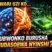 Ese wari uzi ko ubwonko bw’umuntu bushobora kubika amakuru arenze ayo ari muri mudasobwa nyinshi?
