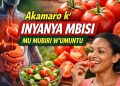 Akamaro k’inyanya mbisi mu mubiri w’umuntu