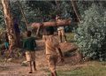 Karongi: Abanyeshuri biga ku ishuri rya Rucura buri wa Gatatu bakora ibirometero bitandatu bajya gutunda inkwi zo gutekesha mu kigo